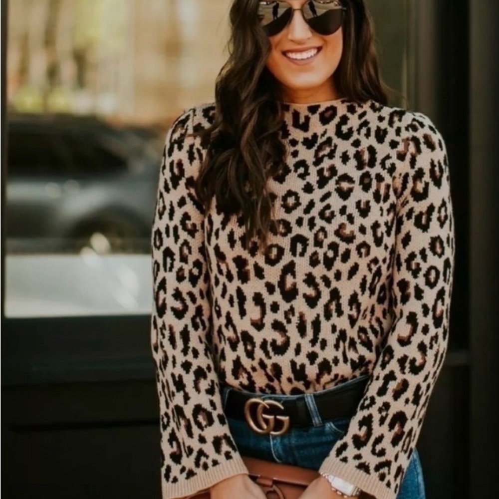 Ann Taylor Leopard Print Women's Sweater